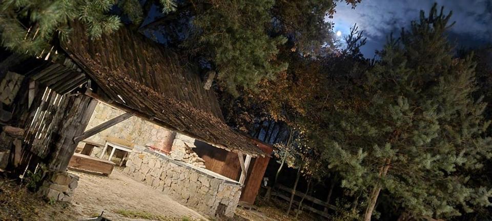 Ostoja Bedzyn- Wypoczynek Nad Pilica Villa