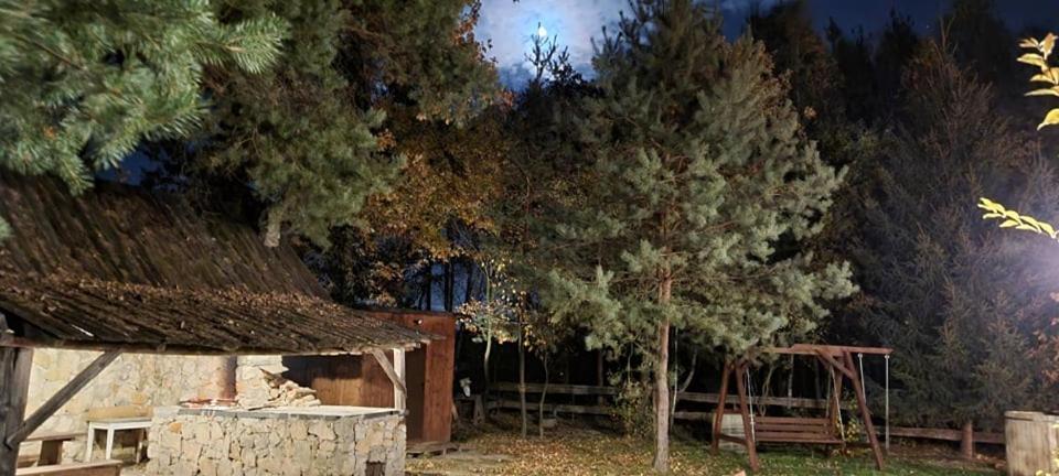 Ostoja Bedzyn- Wypoczynek Nad Pilica Piotrkow Trybunalski
