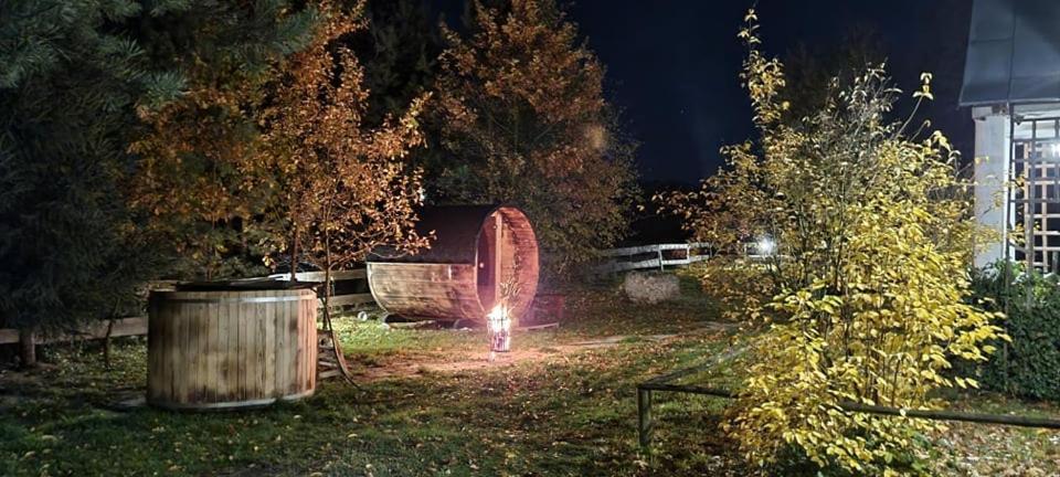 Ostoja Bedzyn- Wypoczynek Nad Pilica * Piotrkow Trybunalski