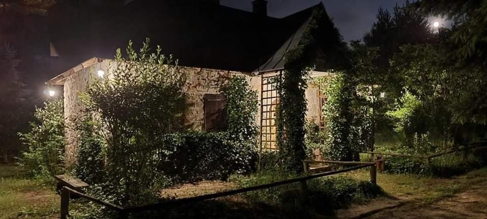 Ostoja Bedzyn- Wypoczynek Nad Pilica Villa Piotrkow Trybunalski