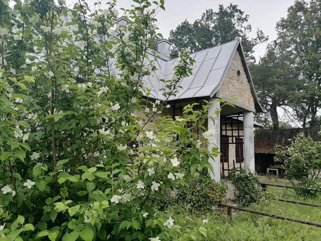 Ostoja Bedzyn- Wypoczynek Nad Pilica Villa